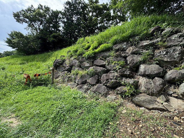 �`�V���ՂɎc��Ί_�͖L�b�������ł̏ے��I��\�B<br /><br /><br /> 