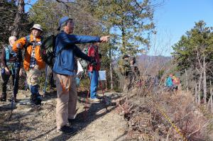 �ˑq�邩��ቺ�̐�i��]��