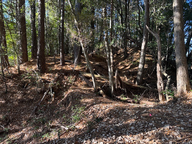 �ۑ���Ԃ̗ǂ��y���Ɩx�͌������\��