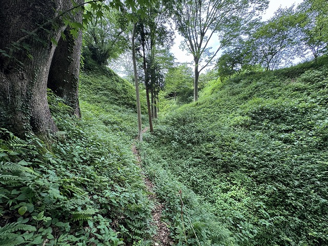 �k�ȗւ����x�؂�����œ`�V��䑤������B