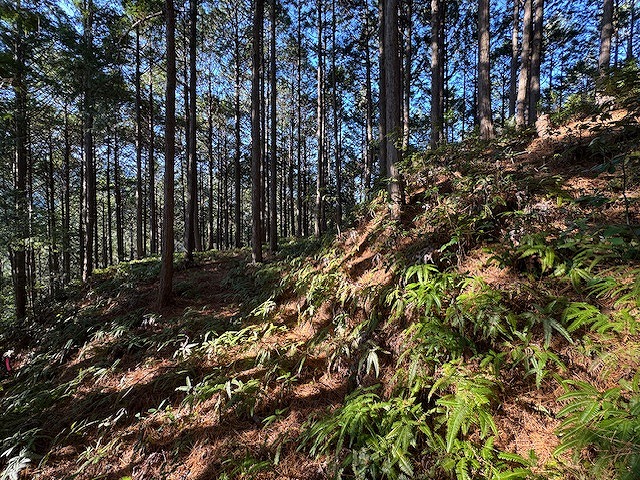 ���ȗւƎ�s�؊�