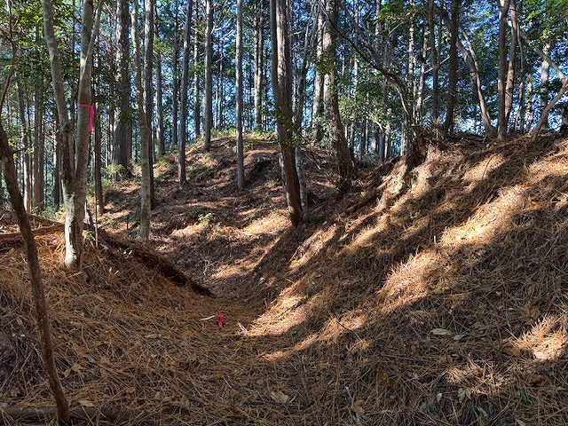 �n�o�͌㐢�̔������ŕ��f����Ռ��Ɍ����₷��